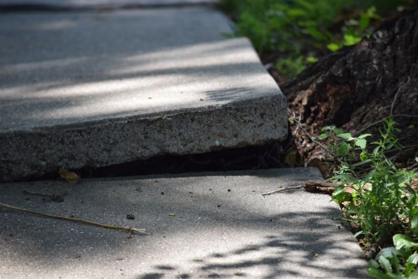 Cost of Sidewalk Leveling in La Crosse