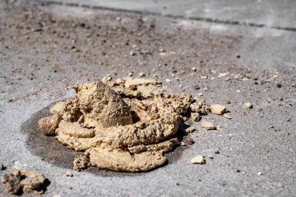 Cost of Driveway Slab Leveling in La Crosse